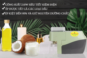 Máy ép dầu NNF800AW công suất ép 2-4kg/giờ May ep dau nnf 800a mau trang 10