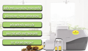 Máy ép dầu NNF800AW công suất ép 2-4kg/giờ May-ep-dau-nnf-800a-mau-trang-(6)