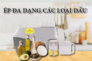 Máy ép dầu NNF800AW công suất ép 2-4kg/giờ May-ep-dau-nnf-800a-mau-trang-(9)